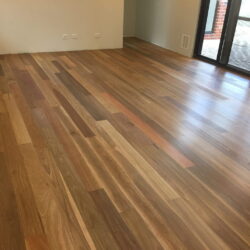 First Floors Spotted Gum Moorhouse Timber Flooring 1