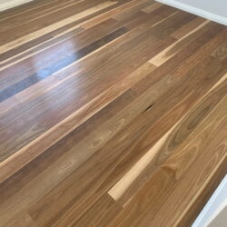 Big River New Generation Spotted Gum 6