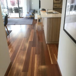 HM Walk Spotted Gum 7