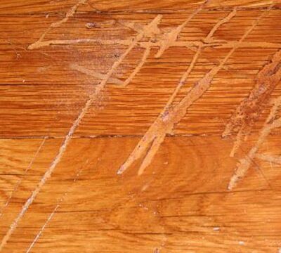 Scratched Timber Floor How to Maintain Preview