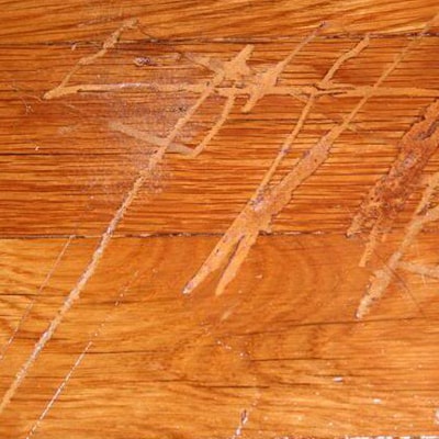 Scratched Timber Floor How to Maintain Preview