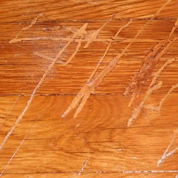 Maintaining and Protecting Your Hardwood Timber Floors