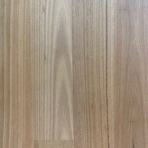 1st Floors Blackbutt Unfinished Swatch