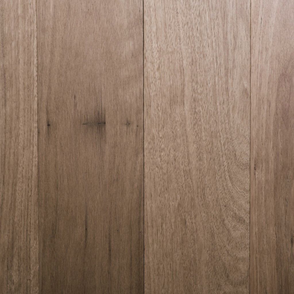 Australian Native Blackbutt