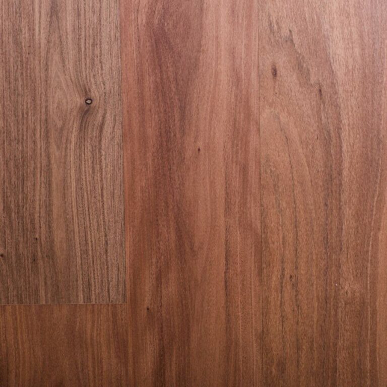 Australian Native Brushbox
