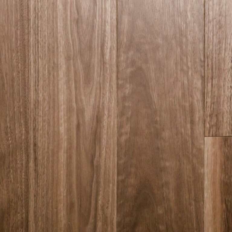 Spotted Gum