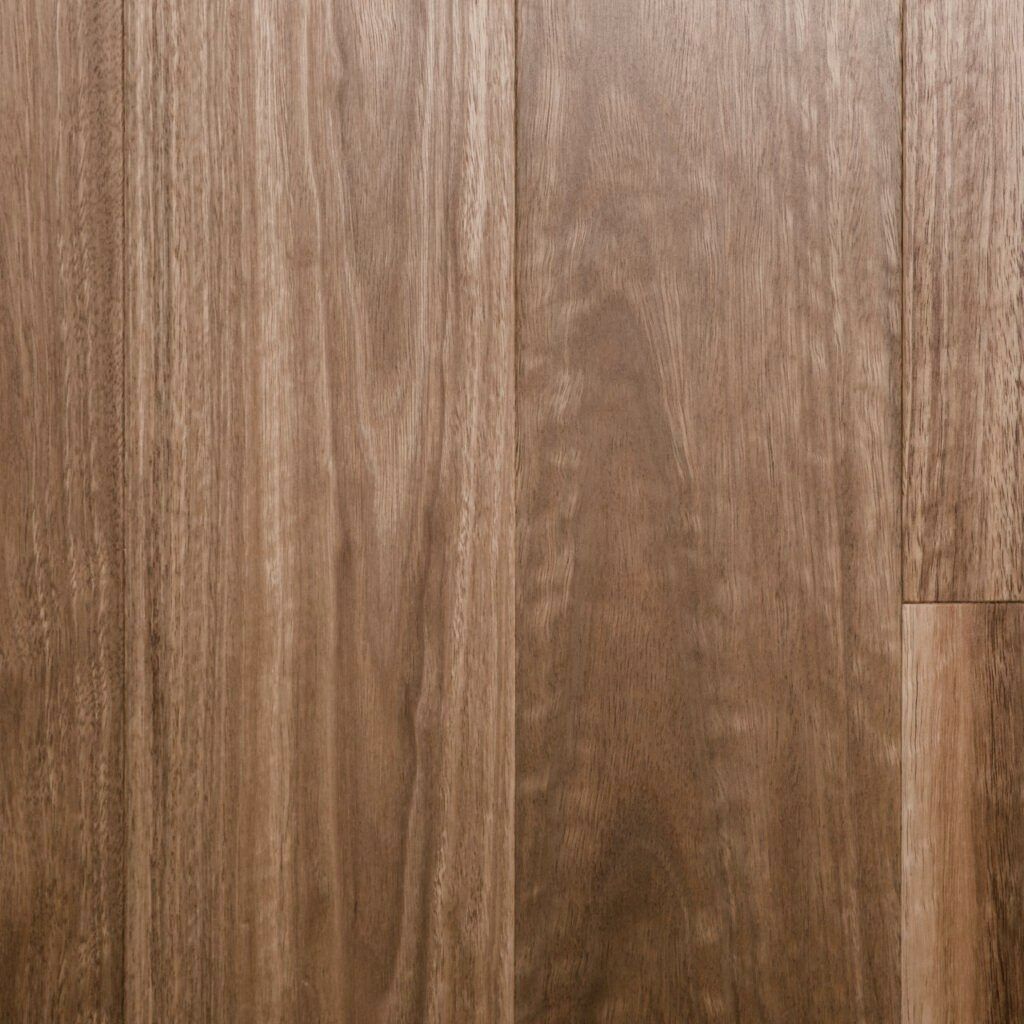 Spotted Gum
