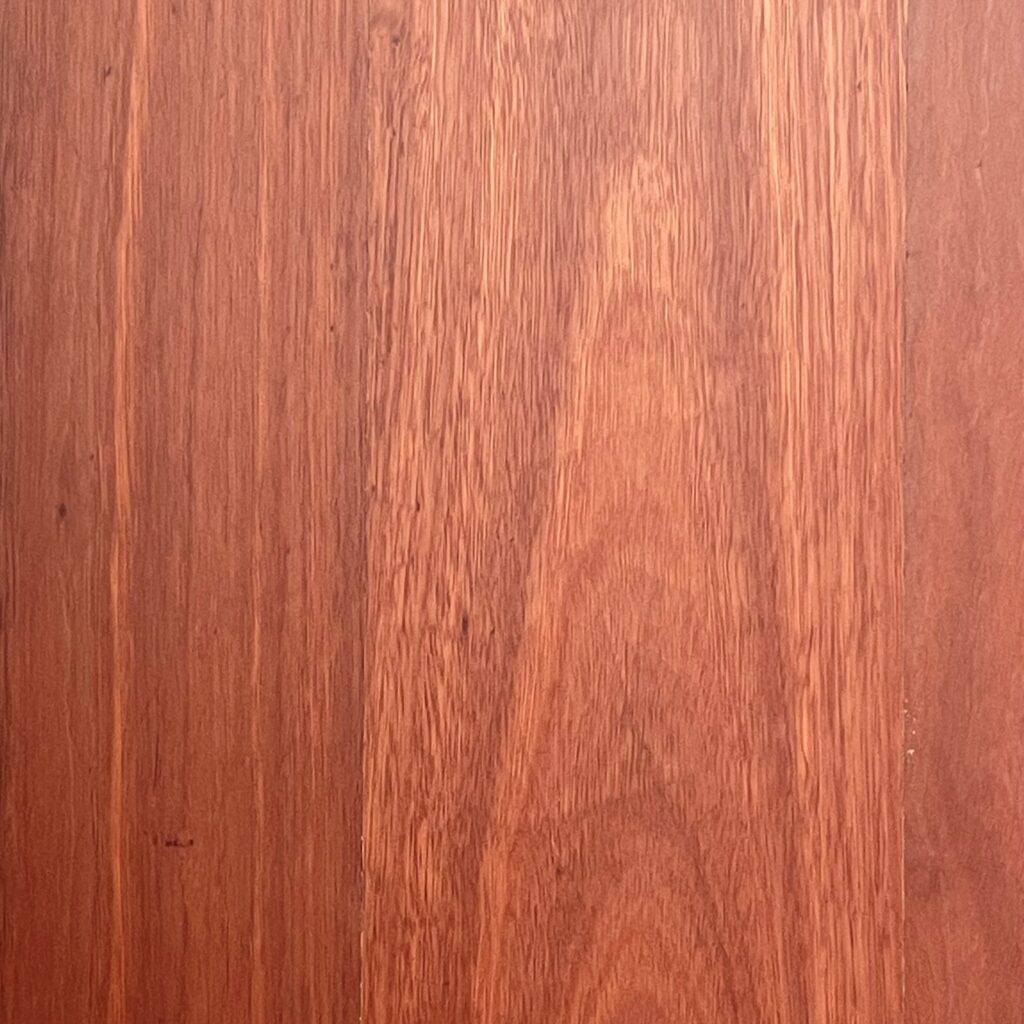 Aus Native Blue Gum