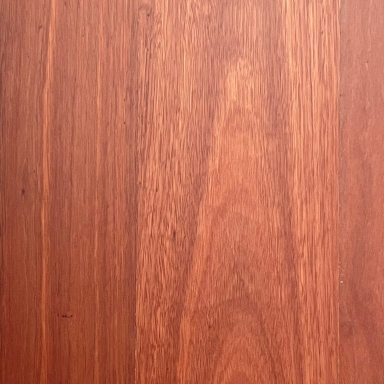 Aus Native Blue Gum