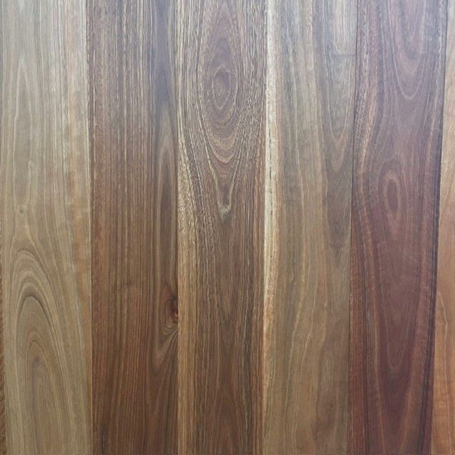 First Floors Spotted Gum