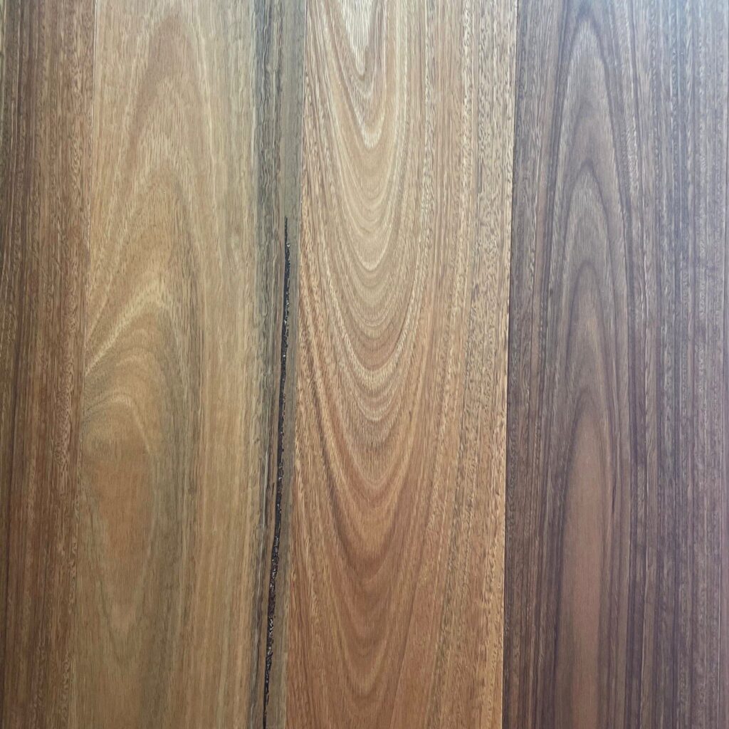 Optimise Spotted Gum