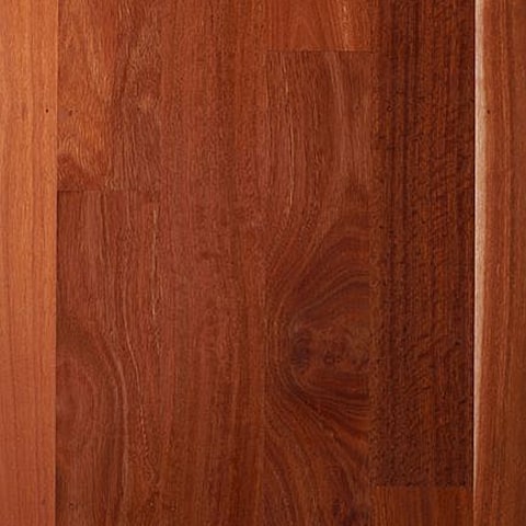 jarrah colour swatch
